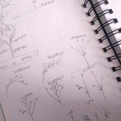 IMG_20181229_140957853